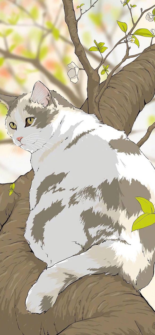 梦里猫落(新)